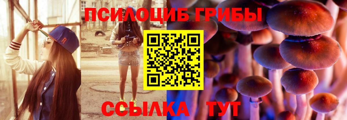 Галлюциногенные грибы Magic Shrooms  Вход с VPN  Новоалександровск 